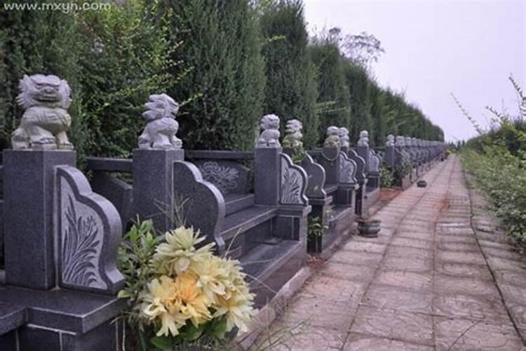 梦见坟地上睡觉什么意思？