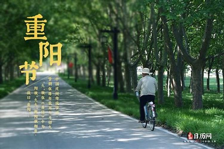 全国各地重阳节有哪些民俗活动