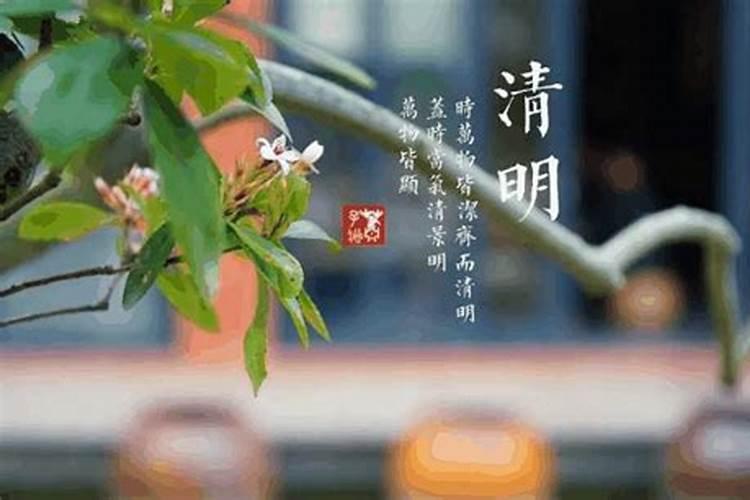 清明节是几月几日,有4月6日的吗