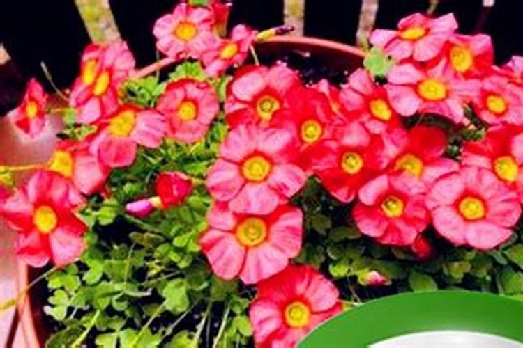 鬼节烧纸禁忌