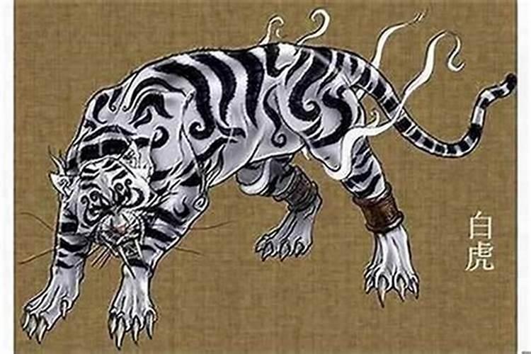 算命里白虎是什么意思？