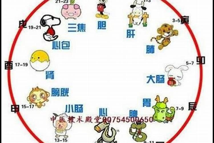 十二时辰分别指的是什么时候？