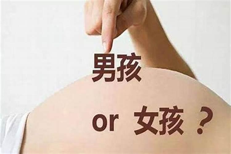 八字看子女后代 身旺财为子？