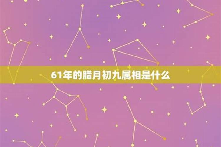 农历7月出生属鼠人命好吗