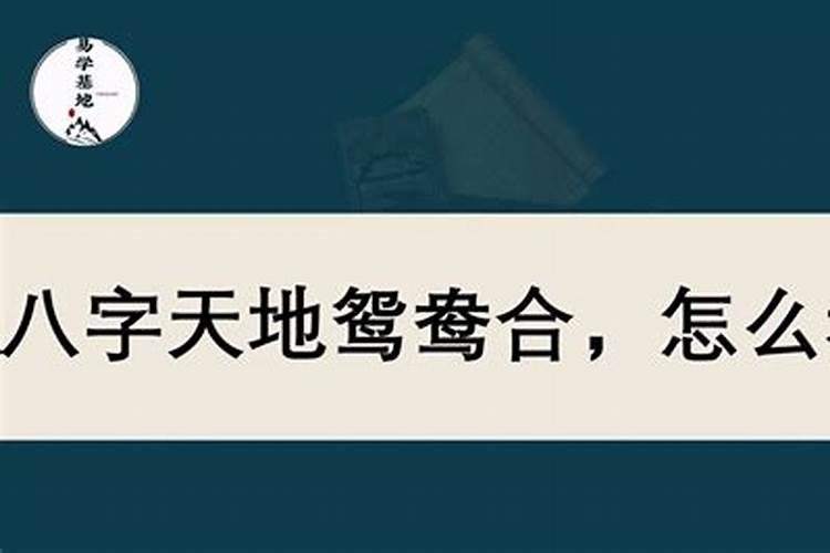八字天地鸳鸯合大富甲申合己巳名利双收？
