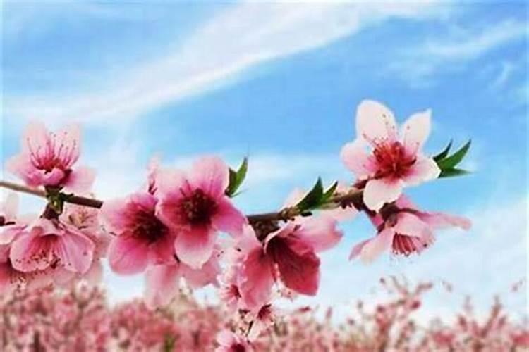 忘记自己的生辰怎么办,测试自己的生辰八字