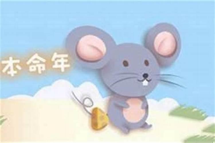 本命年不能结婚的属相有哪些什么属相本命年不能结婚