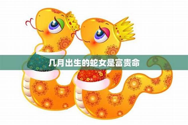 冬至属蛇的怎么样