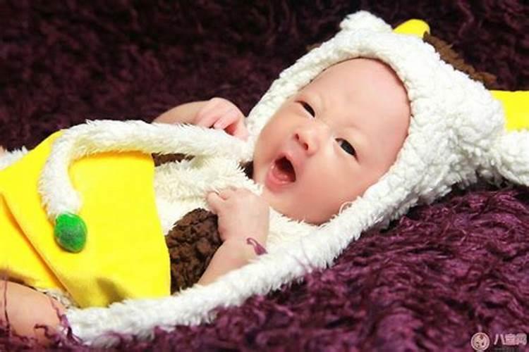 梦见家人生孩子预示着什么