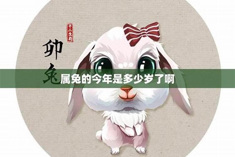 属龙的和属兔的真的不能合婚吗？跪求大师解释.
