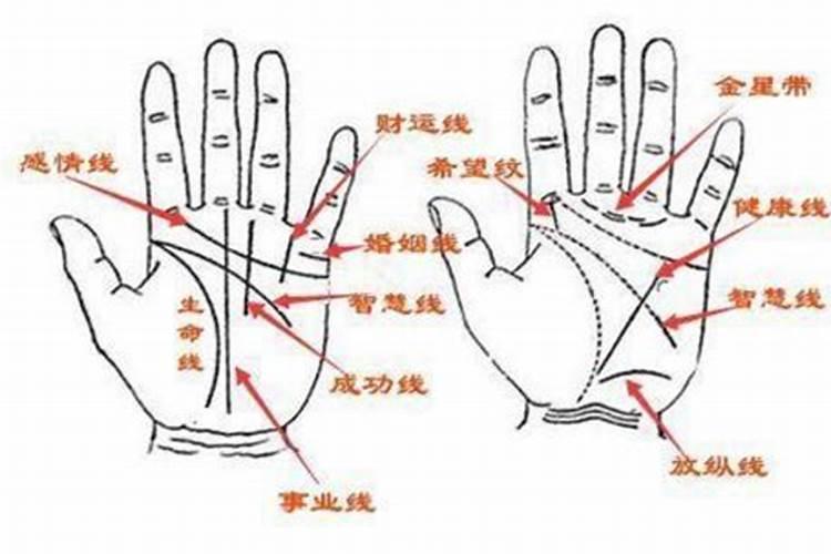 男生有两条婚姻线都很花心？