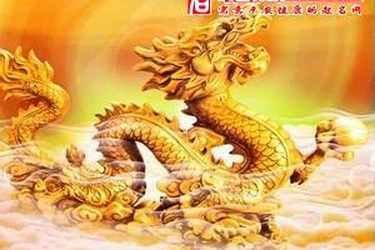 生肖虎2024年运势及运程详解
