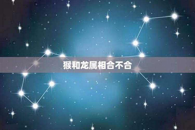 属龙和属猴相配吗？