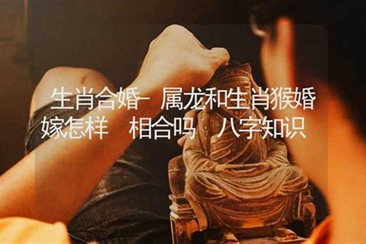 历史上属猴和属龙的模范夫妻 猴龙夫妇有多恩爱