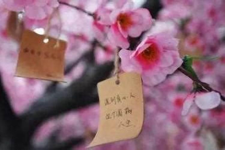 2025属猴犯太岁戴什么