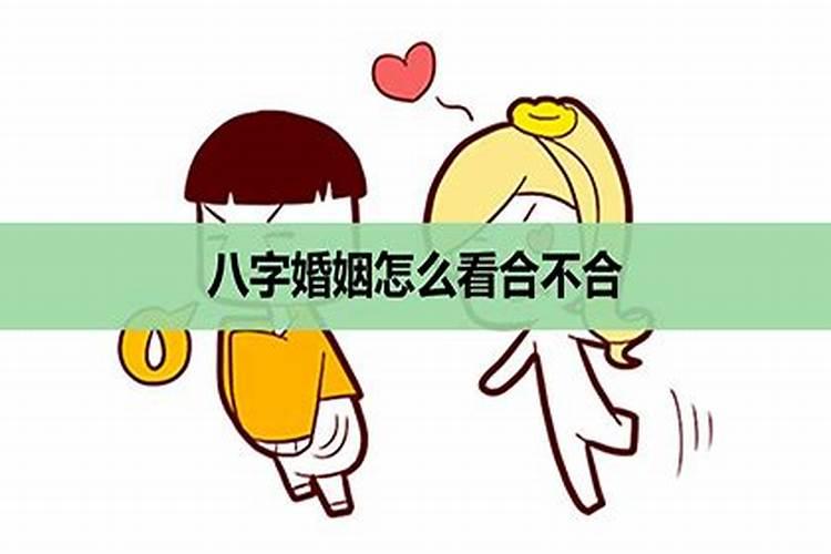 不同季节出生的属虎人命运生肖虎四季命理？