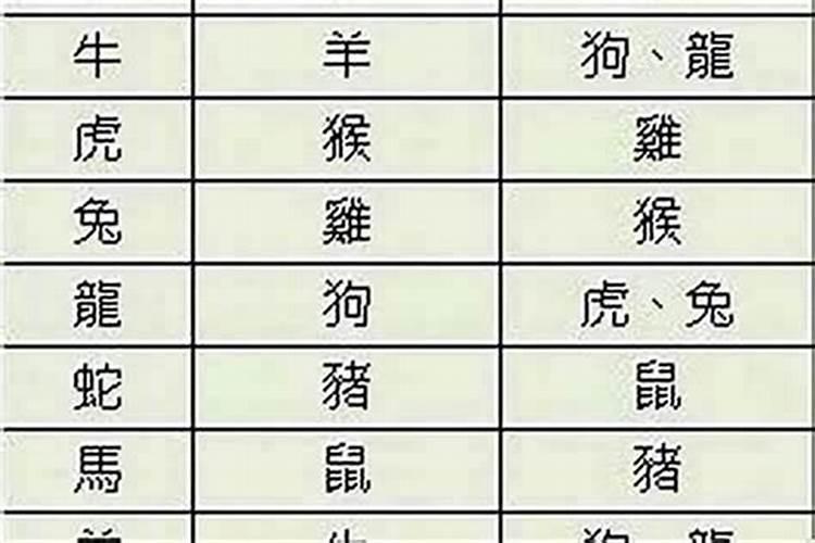 属猪男人和属鼠女人相配吗