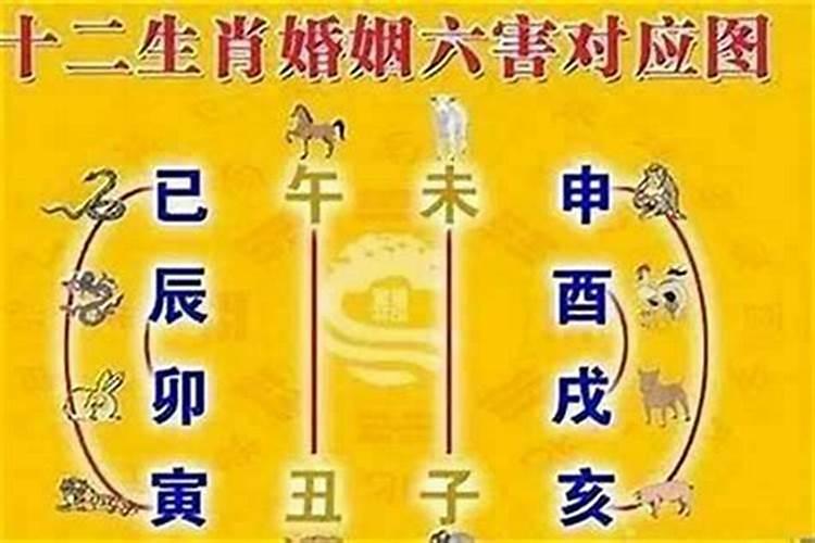 94狗跟96鼠可以结婚吗