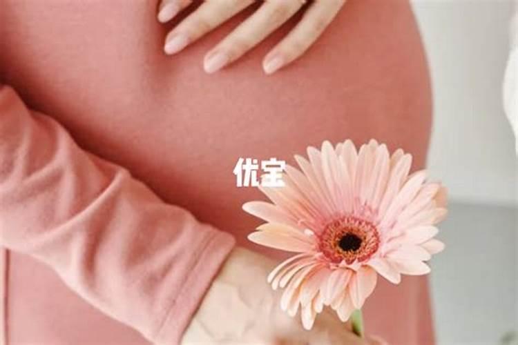 男属鸡的和什么属相最配