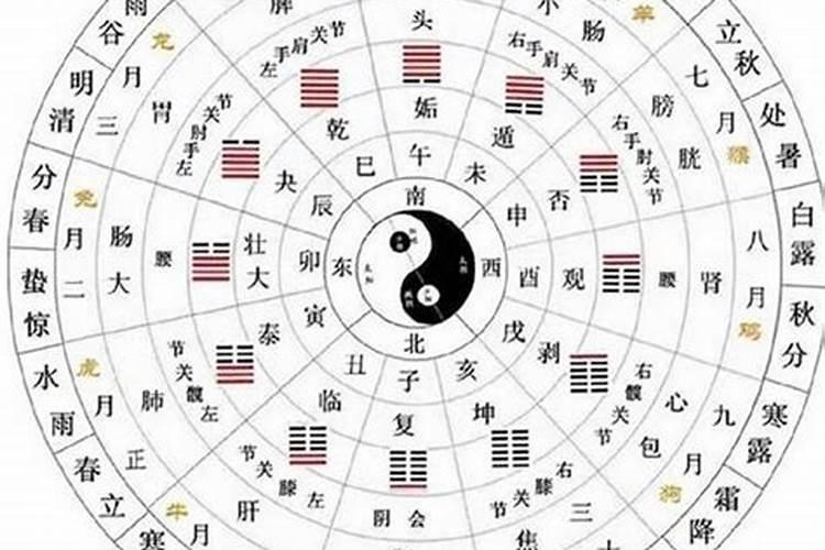 女属狗1970年是阴历十月初一生