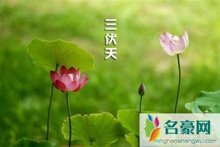 2024立夏准确时间 具体几月几号几点几分