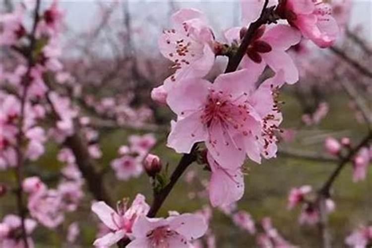 为什么至今还有人在结婚之前认为需要算日子、合八字？