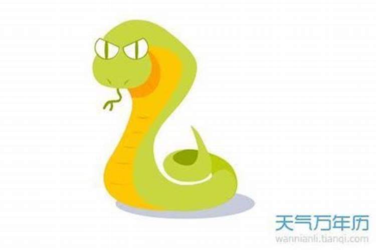 十二月出生属蛇人的运势