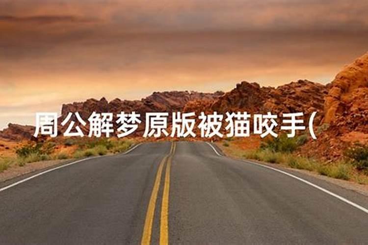 梦见黑猫咬我的手是什么意思？