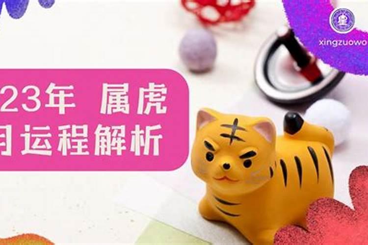 梦见美女和我好的预兆