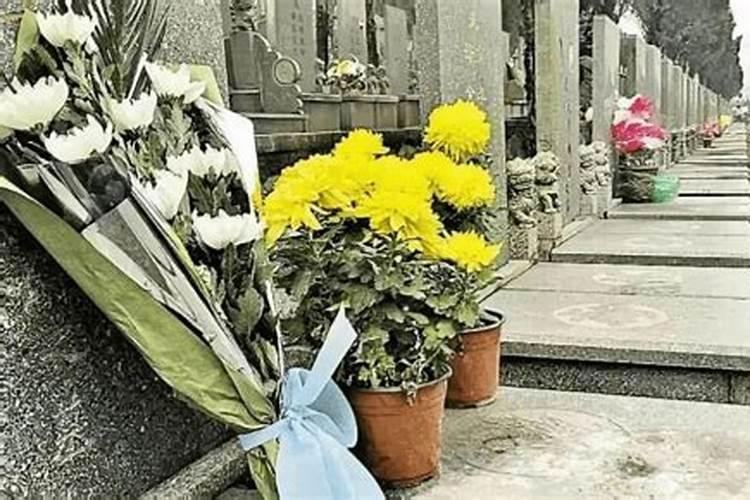 梦见狼群围攻是怎么回事