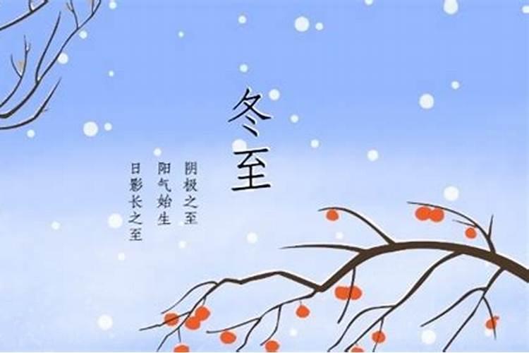 梦见狼群是什么意思 梦见狼群预示什么