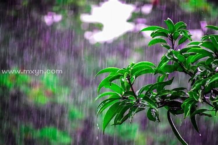 梦见狂风大雨突然就晴天了的预兆