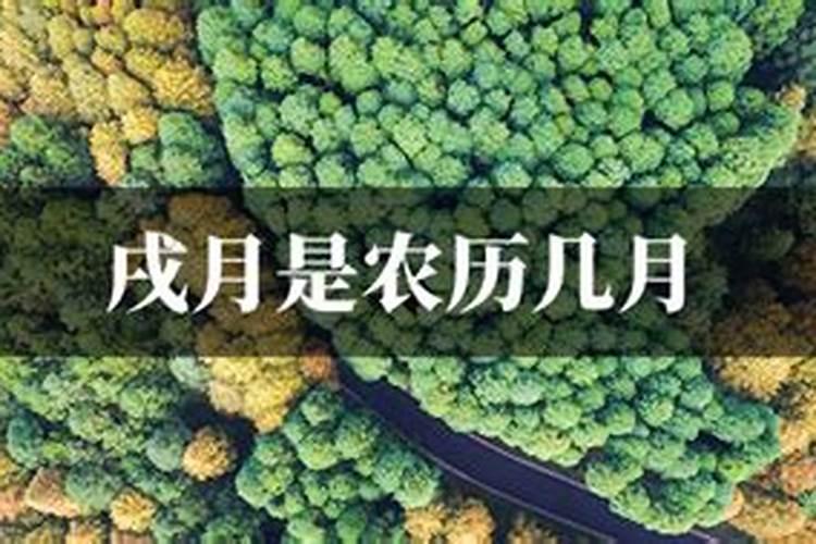 戌月是土旺还是金旺