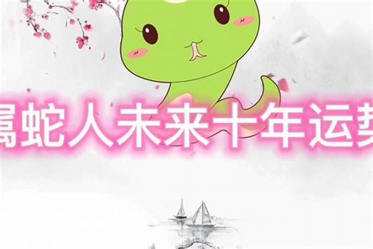 65年蛇在2025年的运势