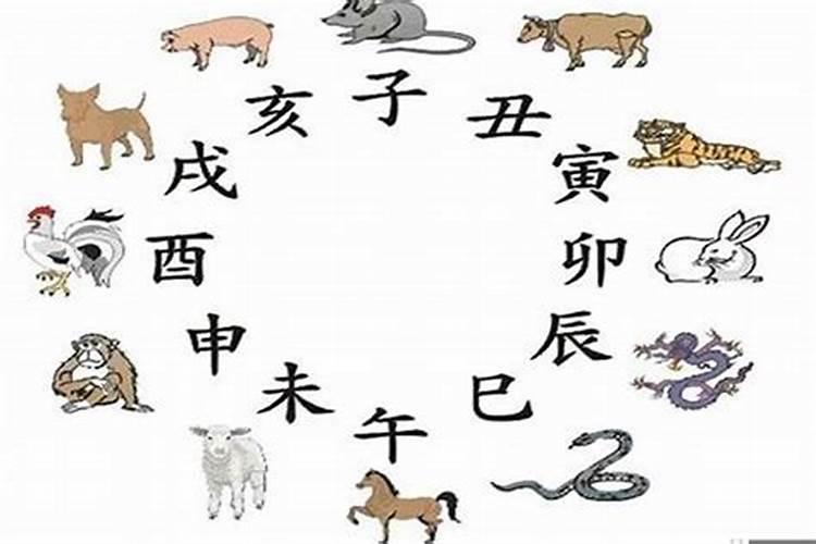 属猪的和属牛的合不合
