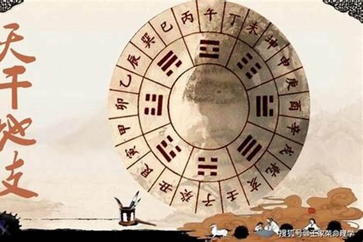时柱戊午子女有出息吗