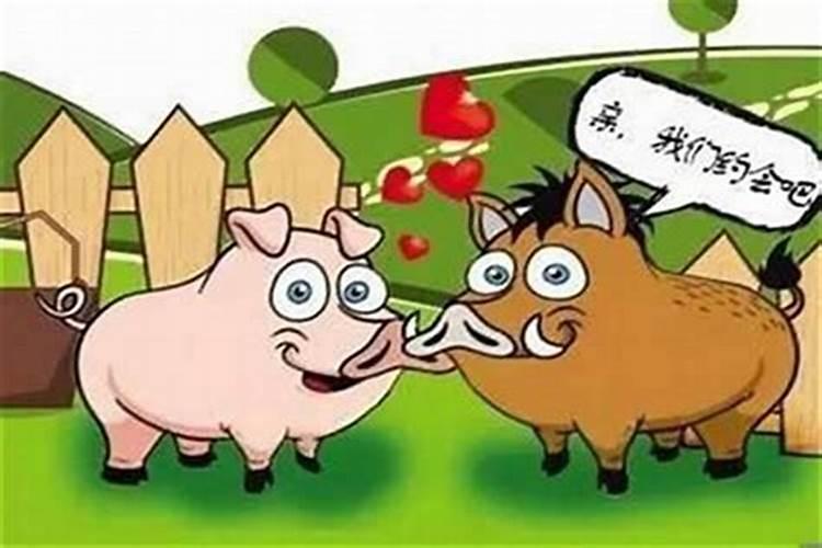 梦见车无人驾驶自动走