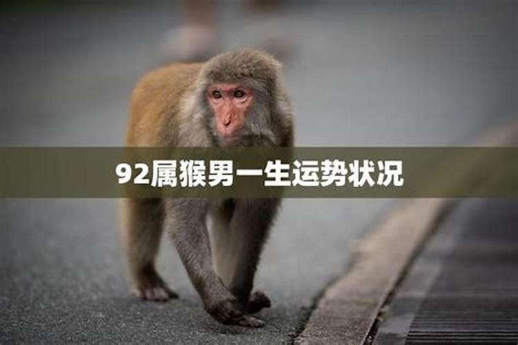 1992年属猴人一生运势1992属猴的什么命