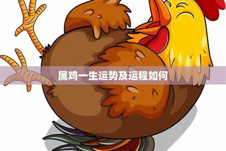 69年属鸡人终身灾难