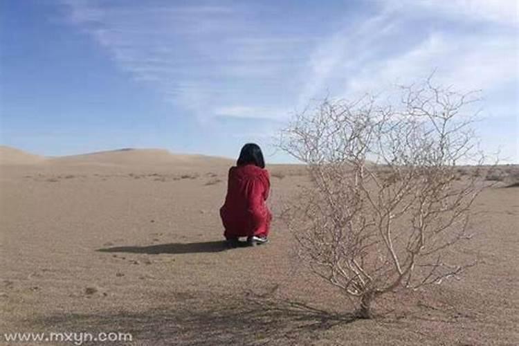 梦见自己妈妈死了哭得很伤心