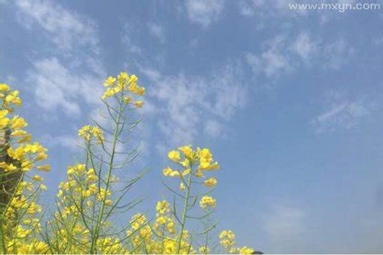 端午节是什么时候农历