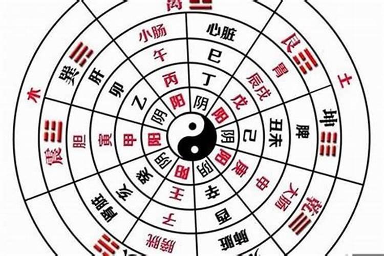 如何根据出生日期查生辰八字