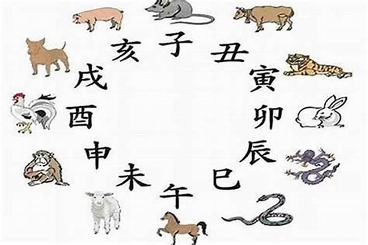 童子的孩子命运怎么样