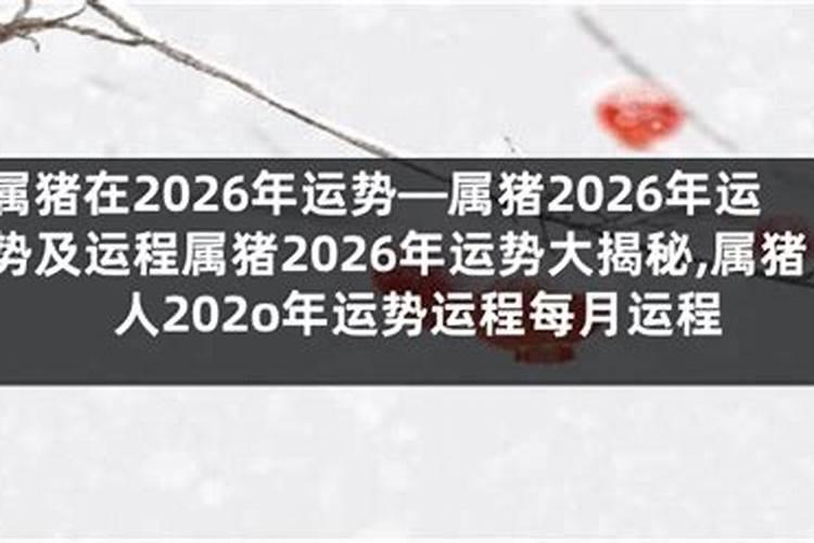 1959年生的61岁生肖猪人2020年运势好吗,凶星照命,偏财运强？