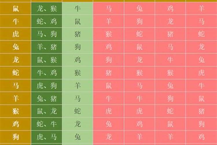 合婚看八字还是属相 八字是合婚的重要因素？