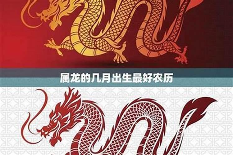 男属龙的和女属蛇的合不合,都是四月生日