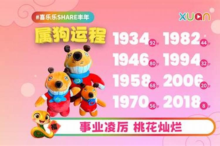 71年猪啥时候会发横财
