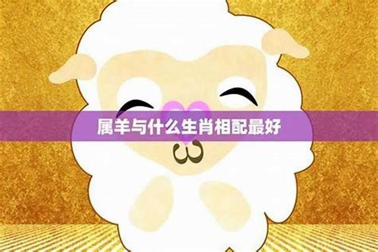 79男羊和91羊女八字合吗,91年属羊女的最佳婚配？