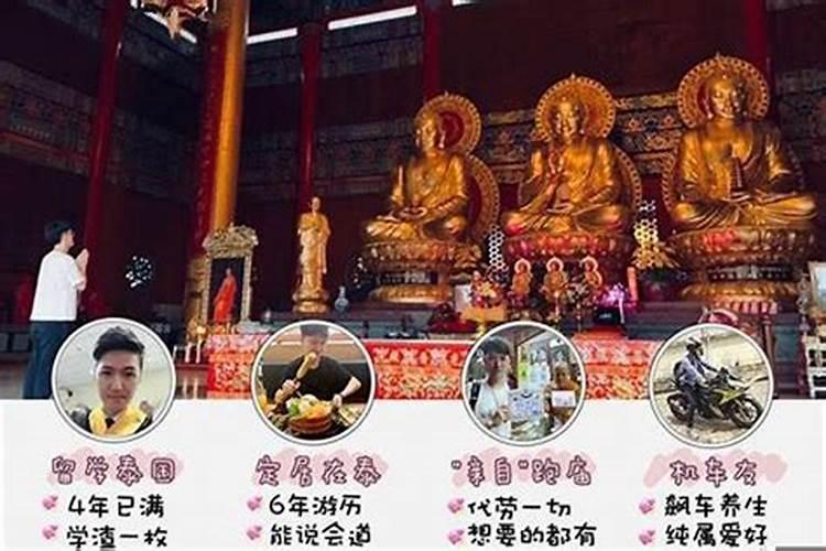属猴2025年犯太岁吗