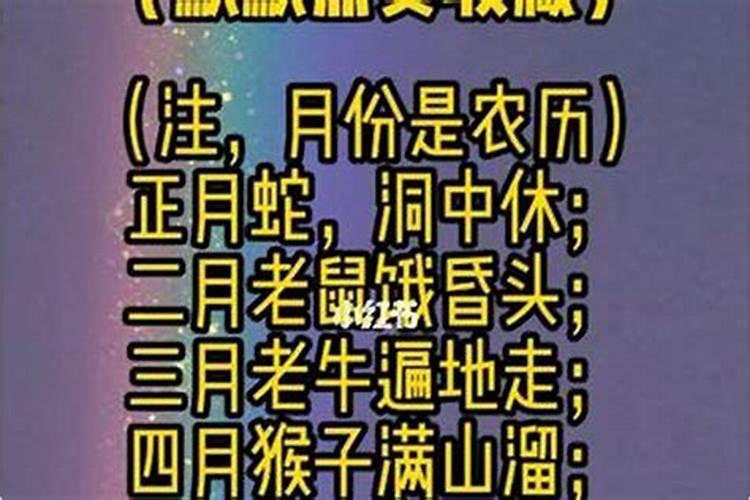 今年本命年十二月份的好不好